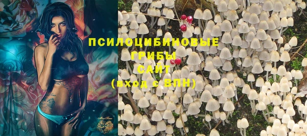 бошки Алексин