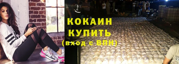 тгк Арсеньев