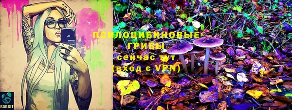 соль ск Армянск